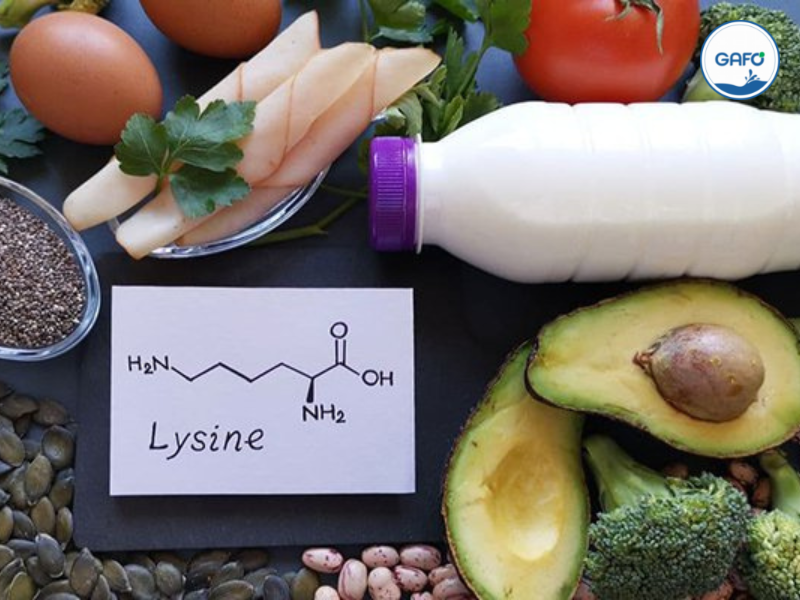 8 tác dụng của lysine với sự phát triển của trẻ nhỏ
