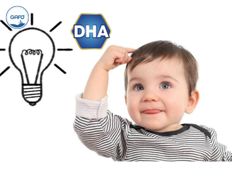 DHA là gì? Vai trò và cách sử dụng DHA cho cả mẹ và bé