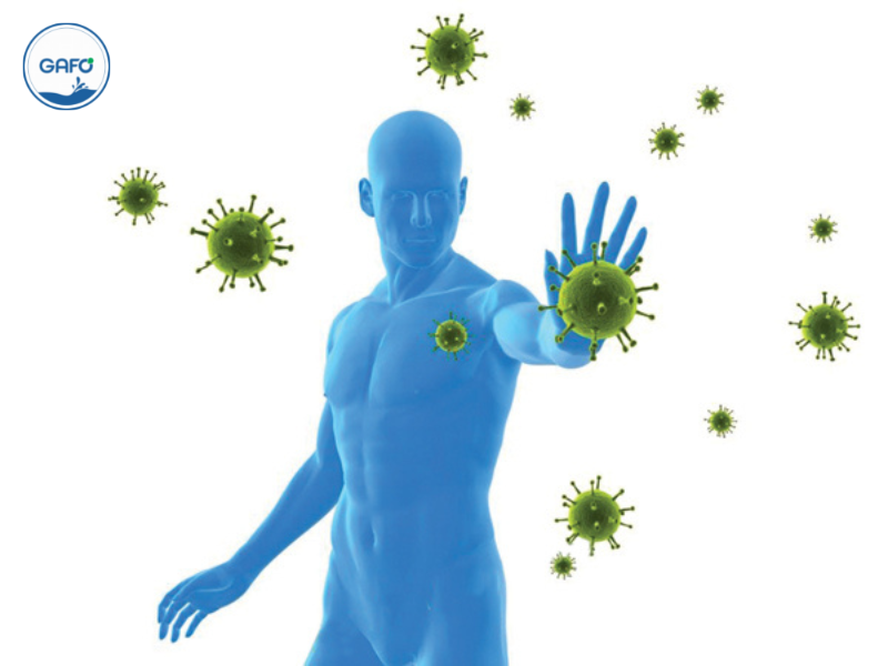 Hệ miễn dịch trong cơ thể được hiểu thế nào? Vai trò của nó với sức khoẻ?