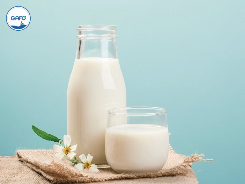 Sữa dinh dưỡng là gì?