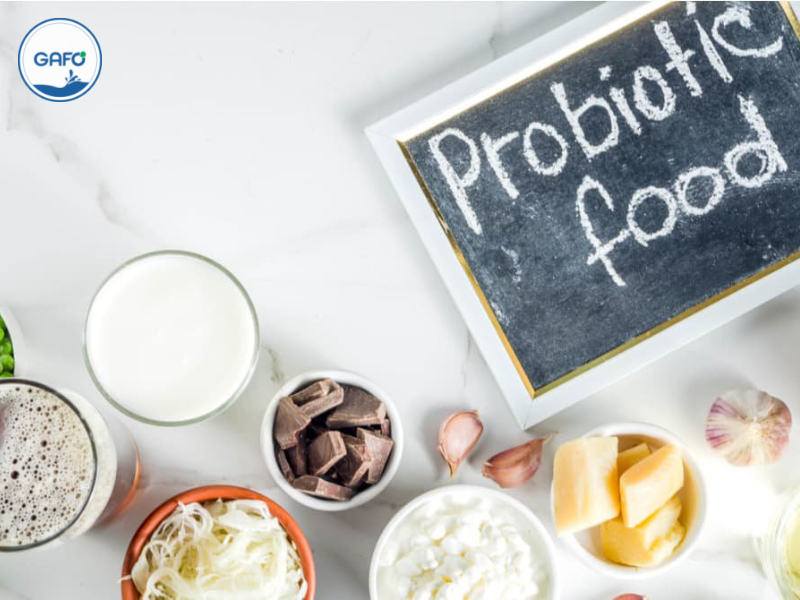 Probiotic là gì? Tác dụng của probiotic với sức khoẻ