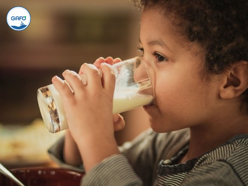 Sữa thực vật và sữa động vật - Loại nào tốt cho sức khoẻ?