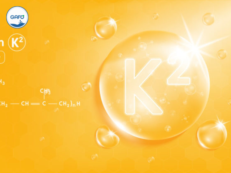 vitamin k2 mk7 la gi 04