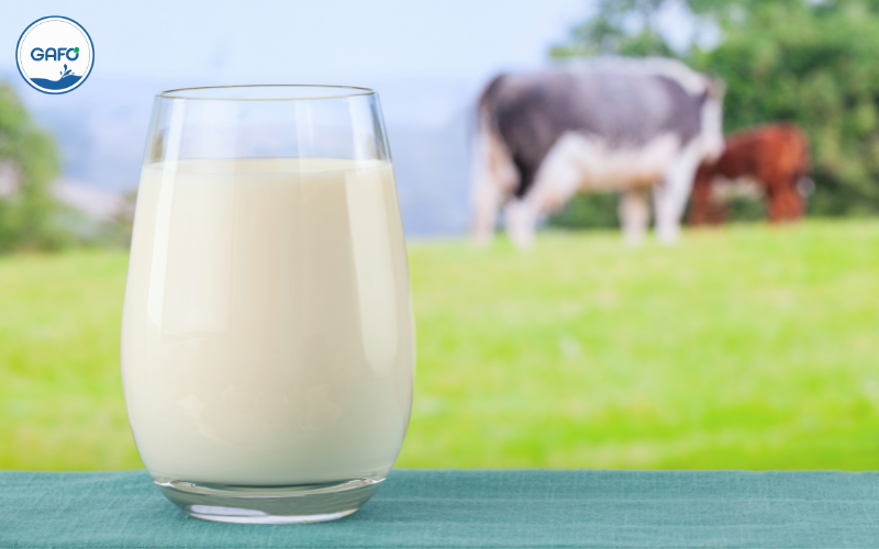 Thương hiệu sữa organic uy tín