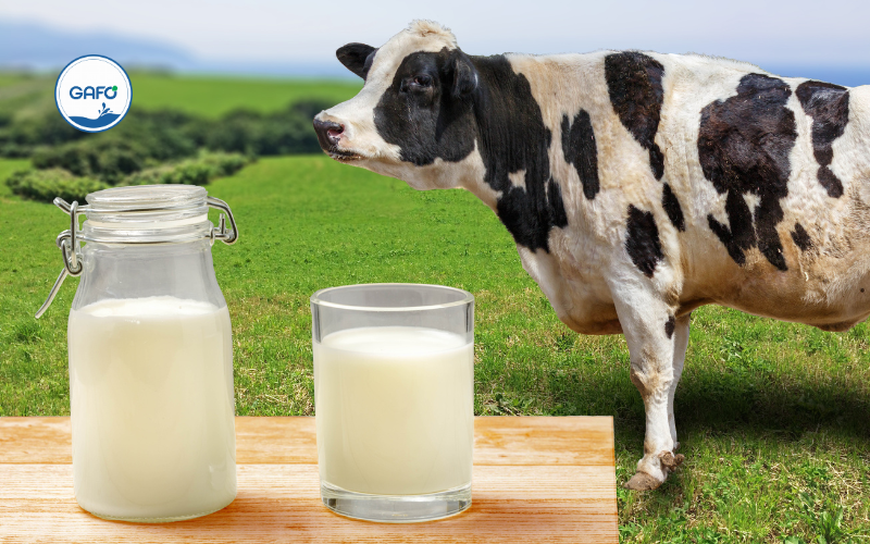 Thương hiệu sữa organic uy tín