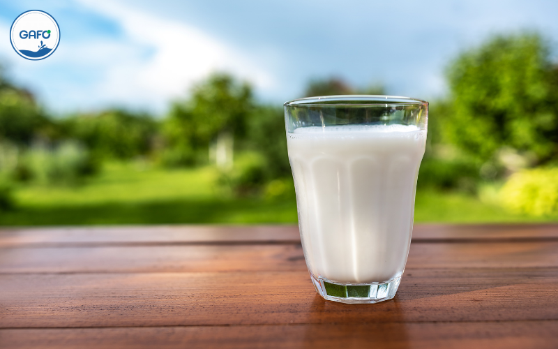 Thương hiệu sữa tự nhiên Gafo