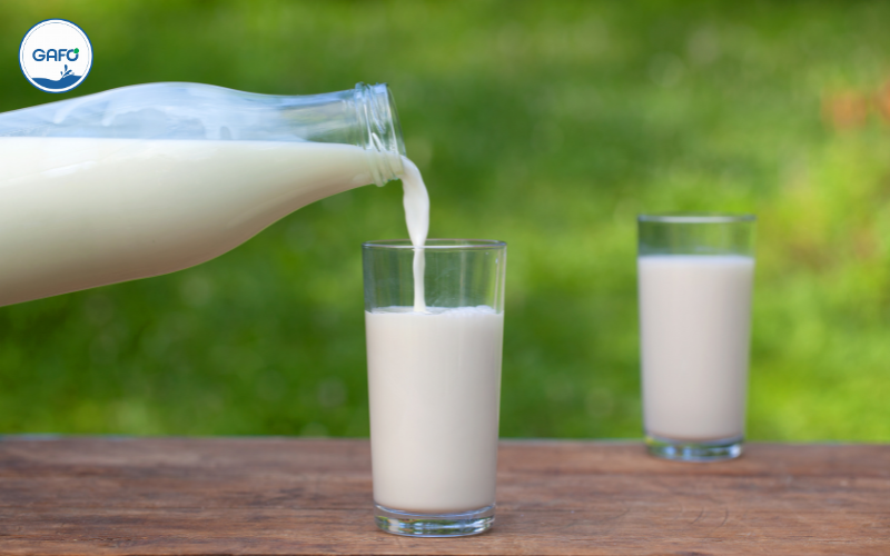 Trẻ 3 tuổi trở lên nên uống sữa bột hay sữa tươi?