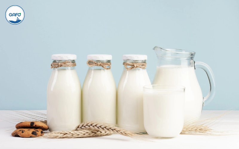 Sữa ngũ cốc có thể thay thế sữa bò không?