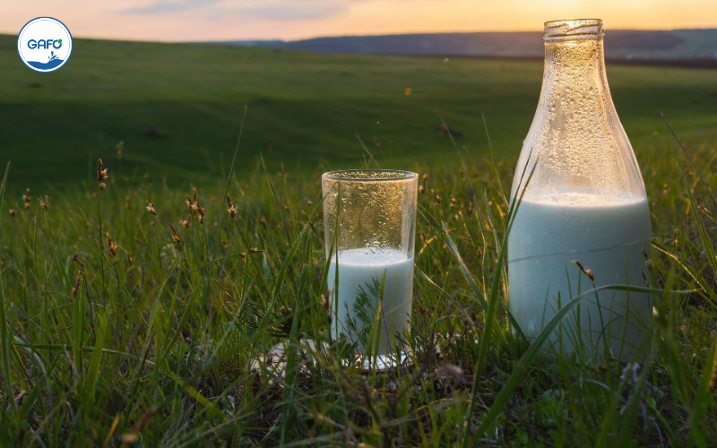 Bà bầu uống sữa organic được không?