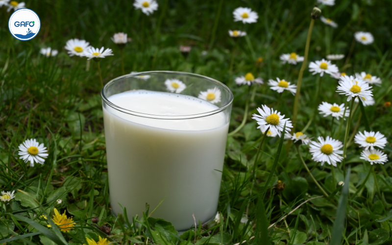 Sữa organic có phù hợp với người ăn kiêng?