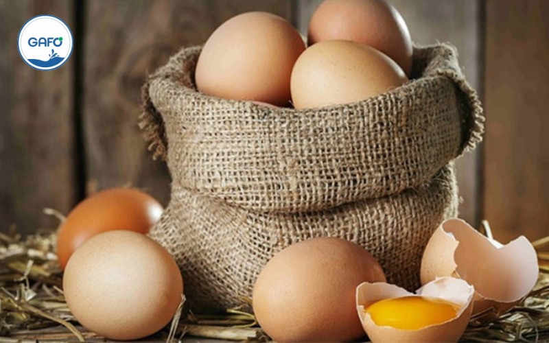 Lợi ích sức khỏe từ trứng gà