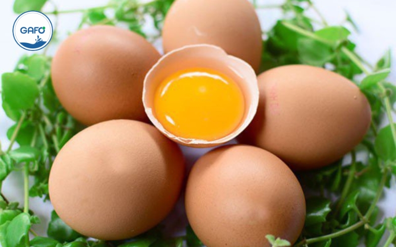 Lợi ích sức khỏe từ trứng gà